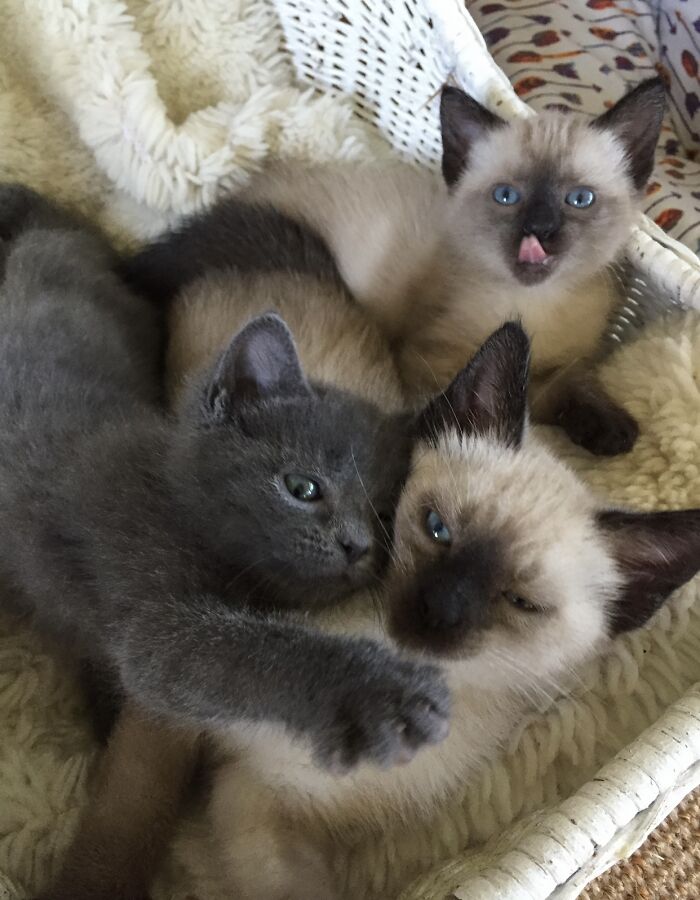 There’s Always That “One” In The Crowd.