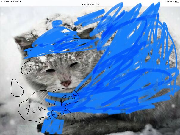 Your All Bundled Up. I Know The Cat Is Like I’m So Ugly In These...things