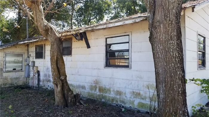 House Listing Of "The Worst House On The Street" Goes Viral For Its Hilarious Commentary House Listing Of "The Worst House On The Street" Goes Viral For Its Hilarious Commentary