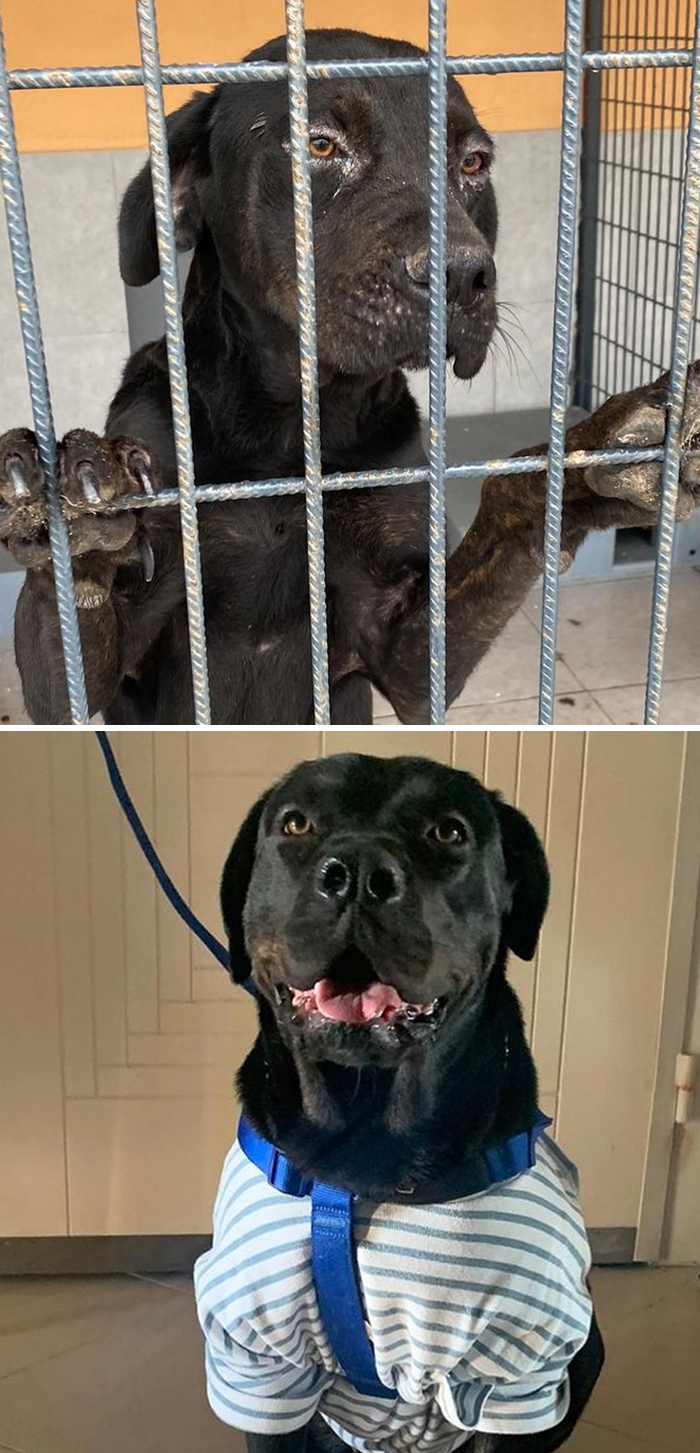 3 Months May Not Be A Long Time For Us But It's Long Enough For Them To Blossom!