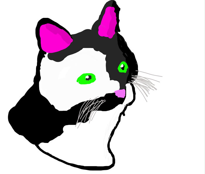 A Pic Of My Cat Charlie