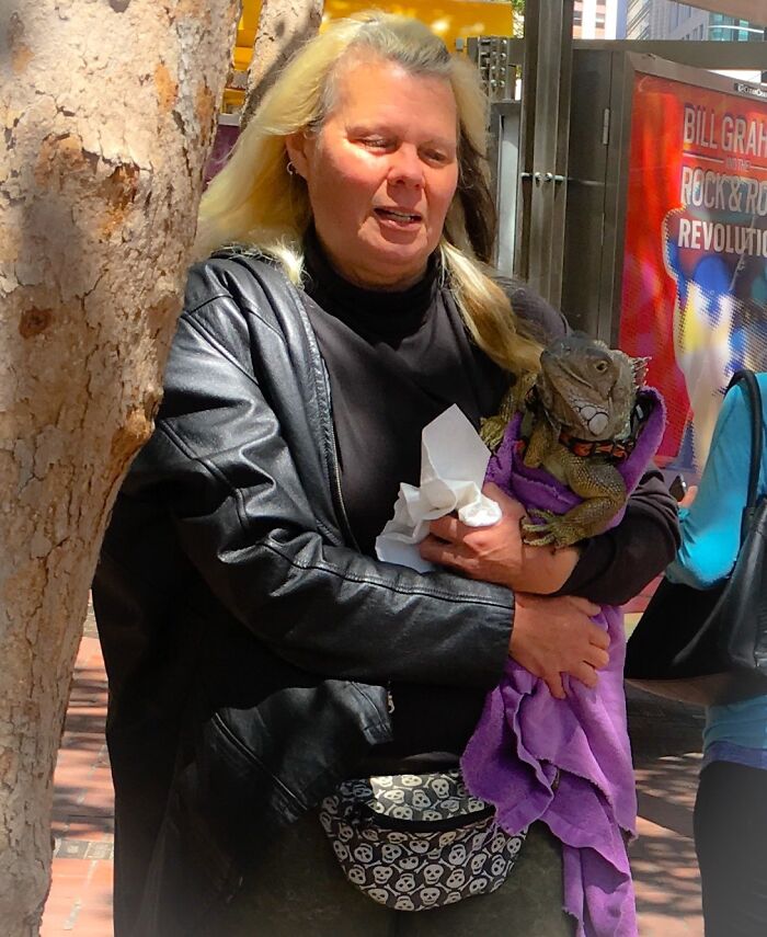 Just A Woman Cradling An Iguana On Market Street In San Francisco