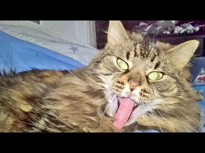 Not Sure What’s Going On Here!