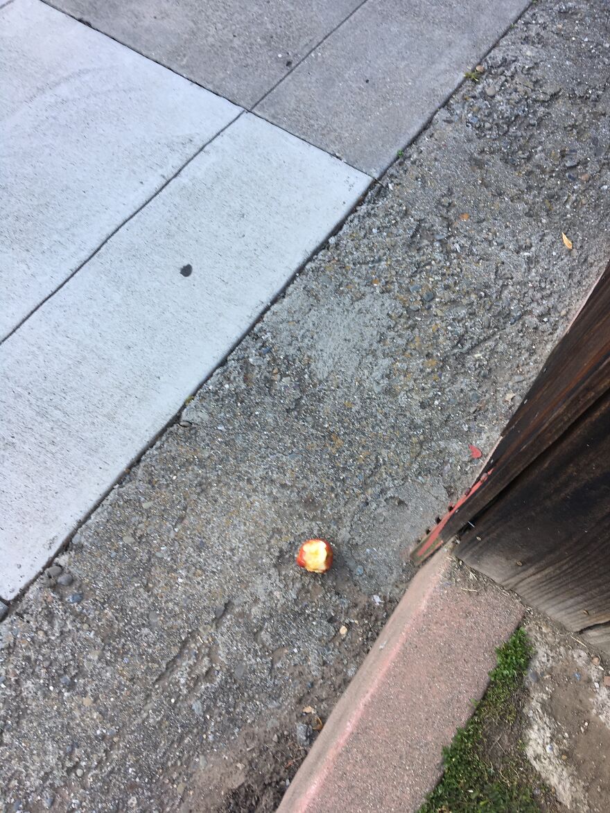 10 Weird And Cool Things I Saw On A Walk