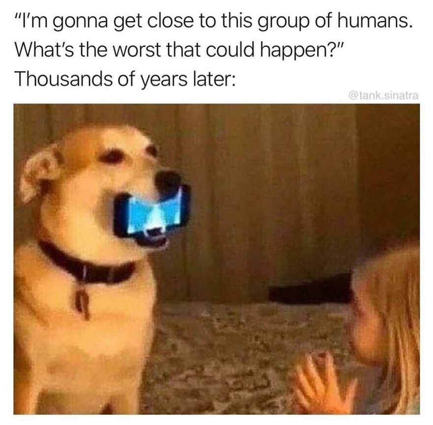 Don't Eat The Phone Doggo