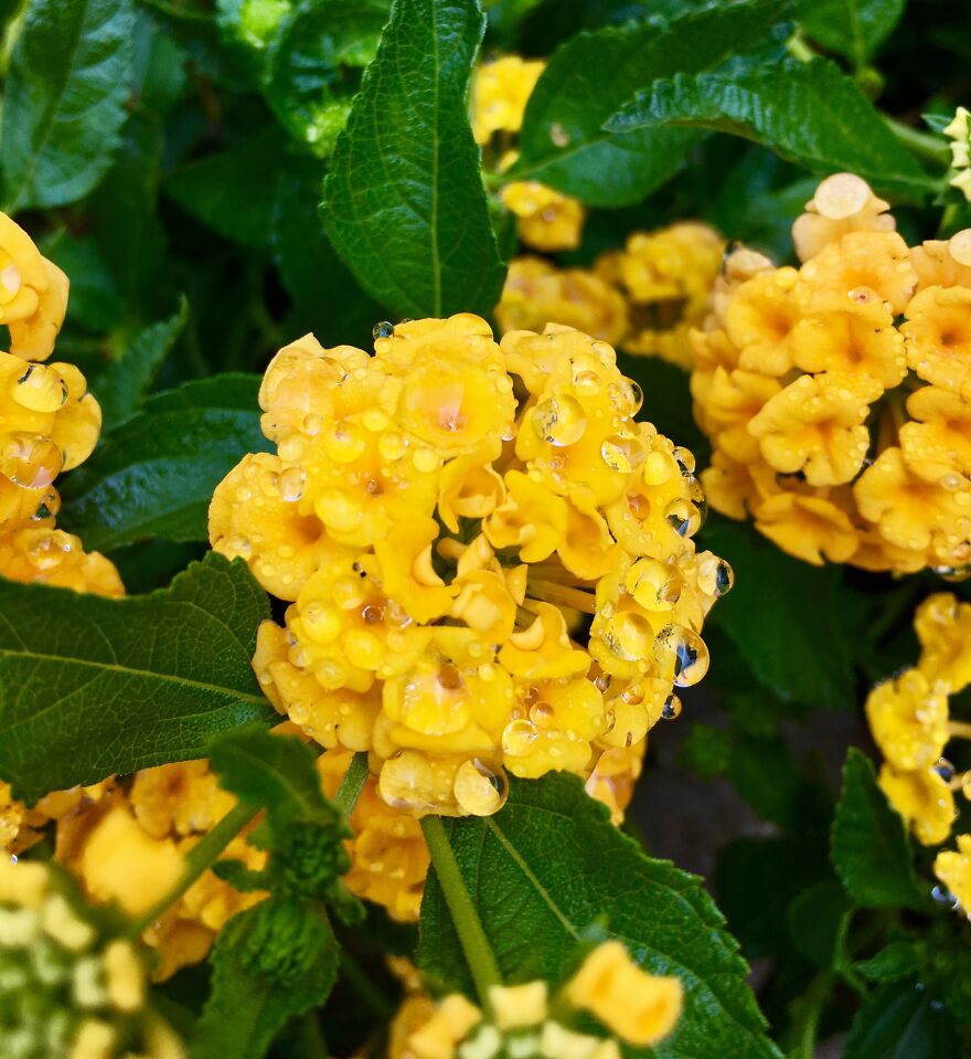 Wildlife Photography Wildlife Photography