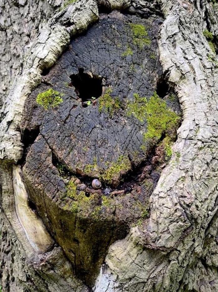 Mother Nature ❤️