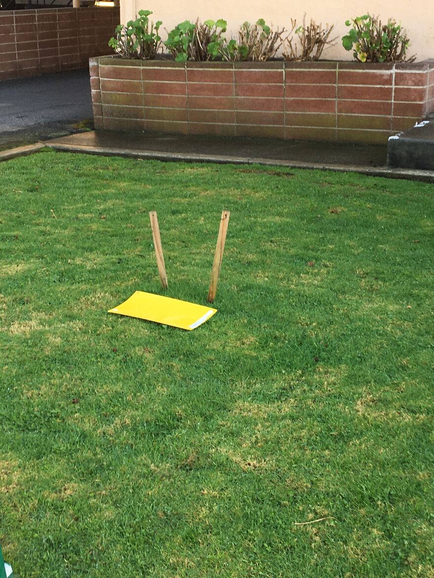 10 Weird And Cool Things I Saw On A Walk