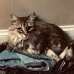 alexandriadouglasrejon avatar