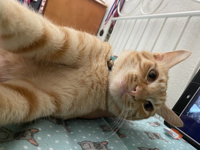 I Don’t Know How, But He Took This Himself. Well At Least It Was In Focus.😅