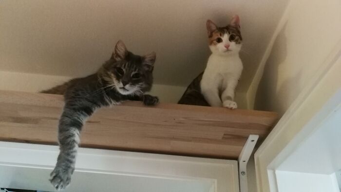 A Confusing Photo Goes Viral, And It Might Confuse You As Well