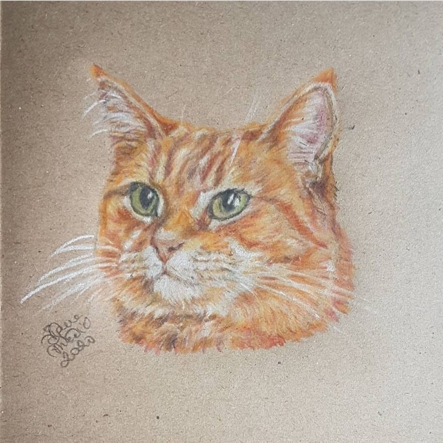 The Late, But Unforgettable Bob: @streetcatnamedbob