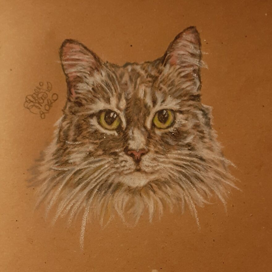 Jessica The Cat, Inspiration For Great Stand-Up Comedy: @zoltancomedy