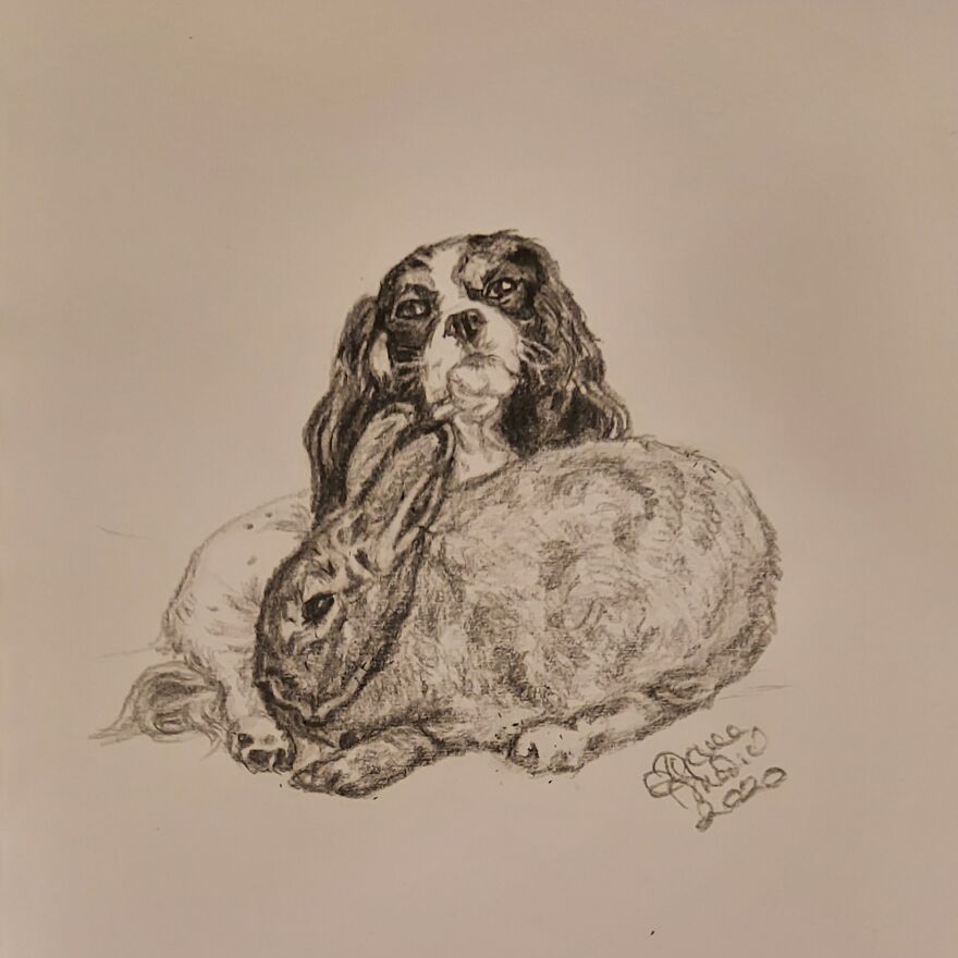 Lola And Her Bunny Pepper: @lolathecavie