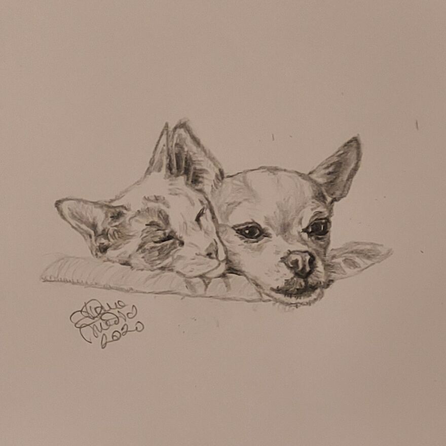 Bella And Buster: @bella_loves_buster