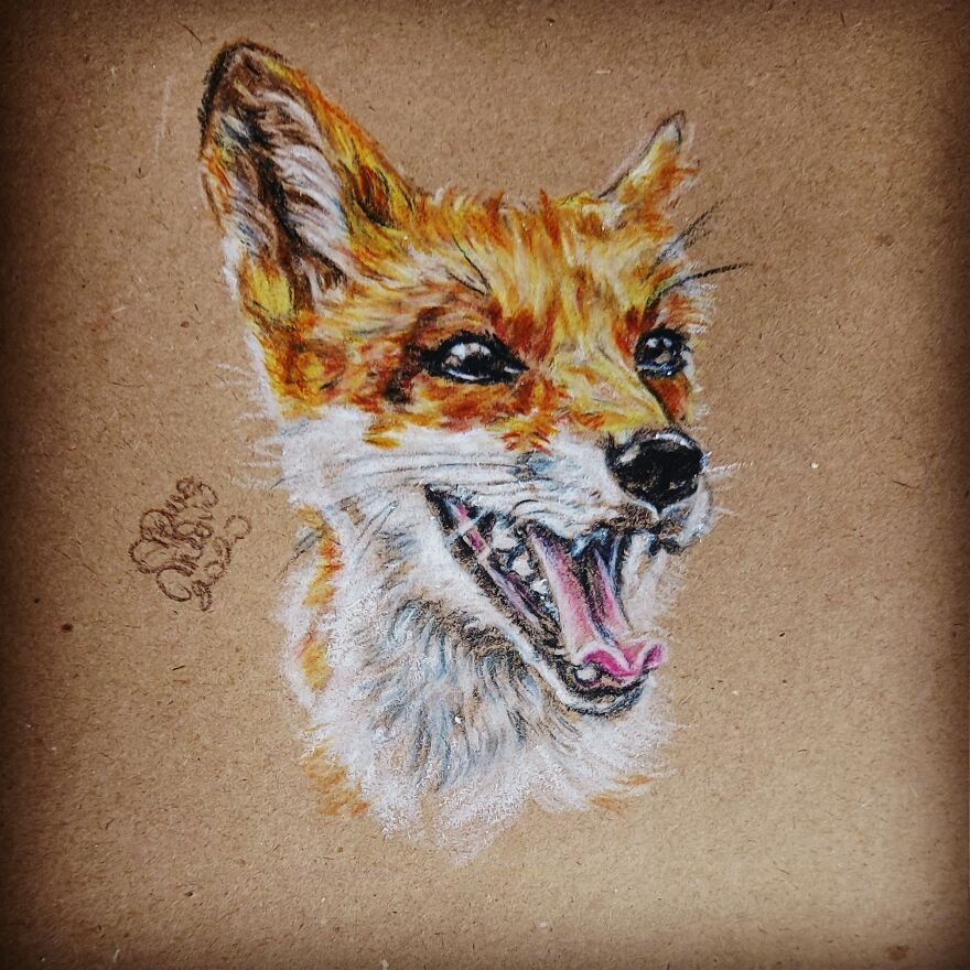 Happy Fox: @juniperfoxx