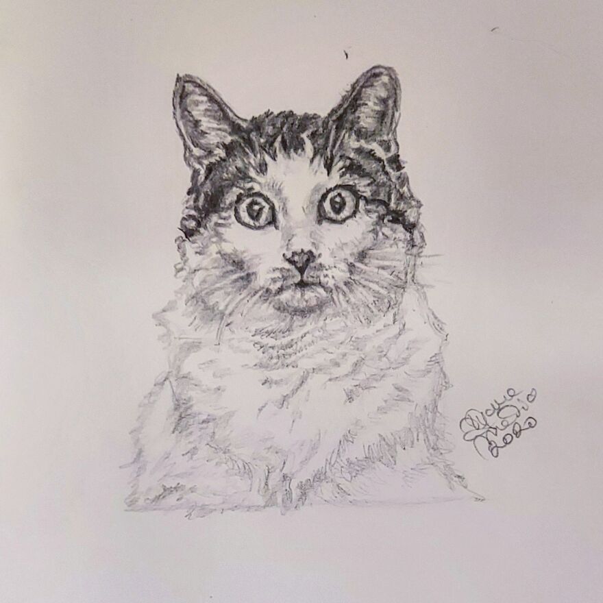 The Face Of 2020 Overall, Gracie The Sosig: @livilaurel