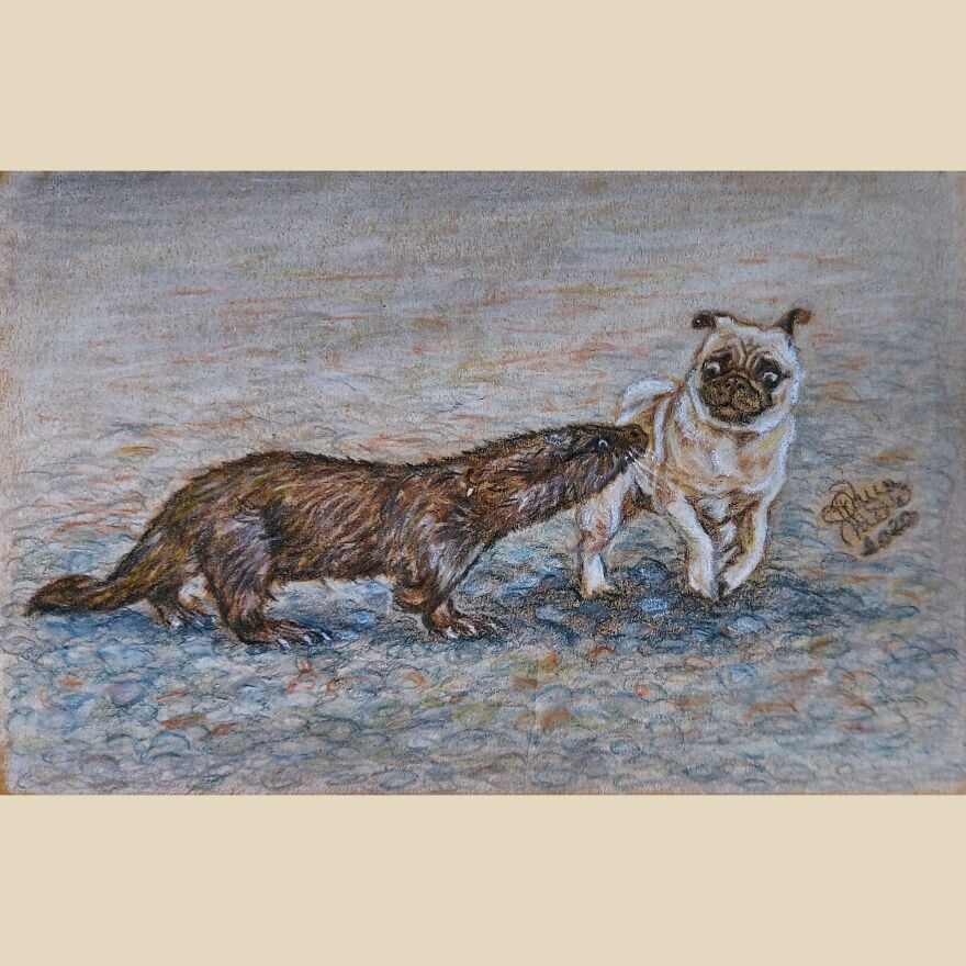 Funny Otter Svenn And His Pug Friend Pernille: @svenntheotter