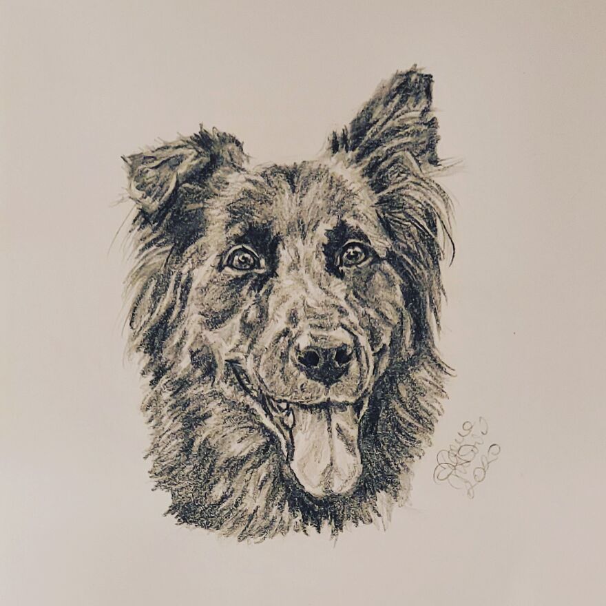 Charming Rescue In Singapore: @rosie_theposie