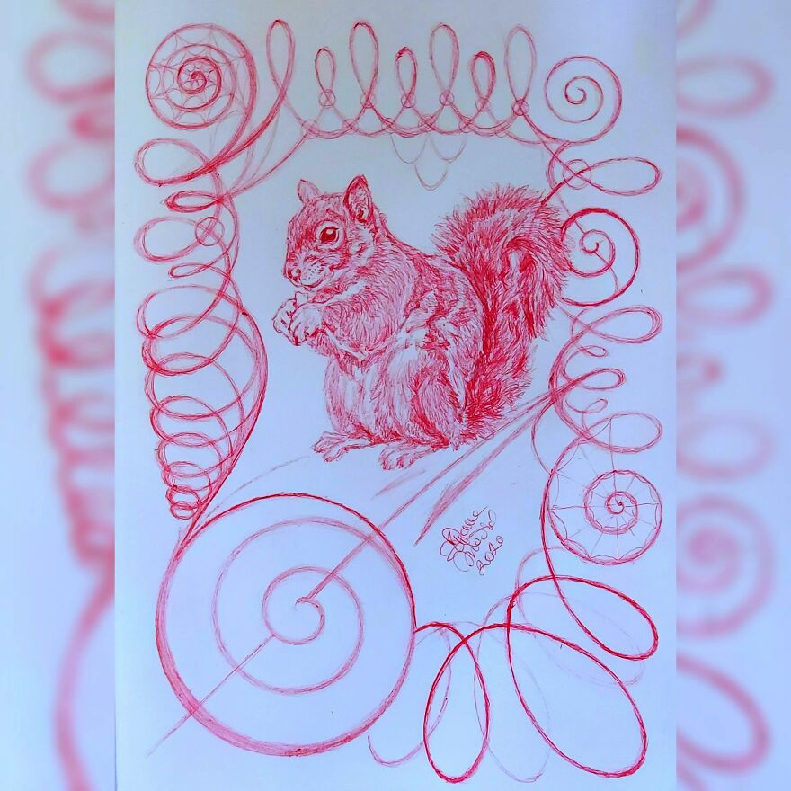 One Of The Squirrels At @fourwandswildlife