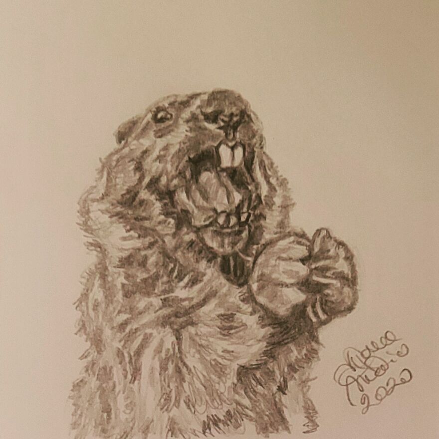 Announcer Of Spring: @chunk_the_groundhog