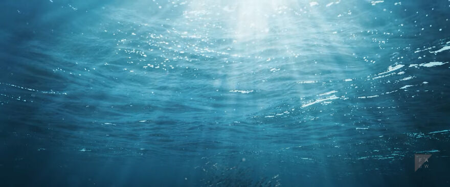 This Heartbreaking Animated Short Shows Plastic Waste Transforming Into Ocean Life