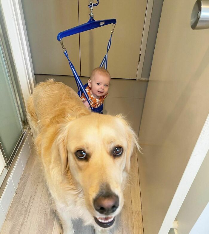 Hi Hello, We Have Come To Watch You Poop. Please Proceed