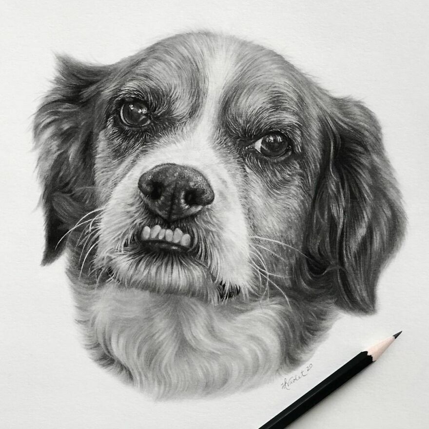 This Artist Makes Realistic Portraits Of Animals That Will Leave You Jaw-Dropping