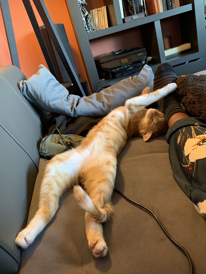 A Beautiful Leggy Friendship...