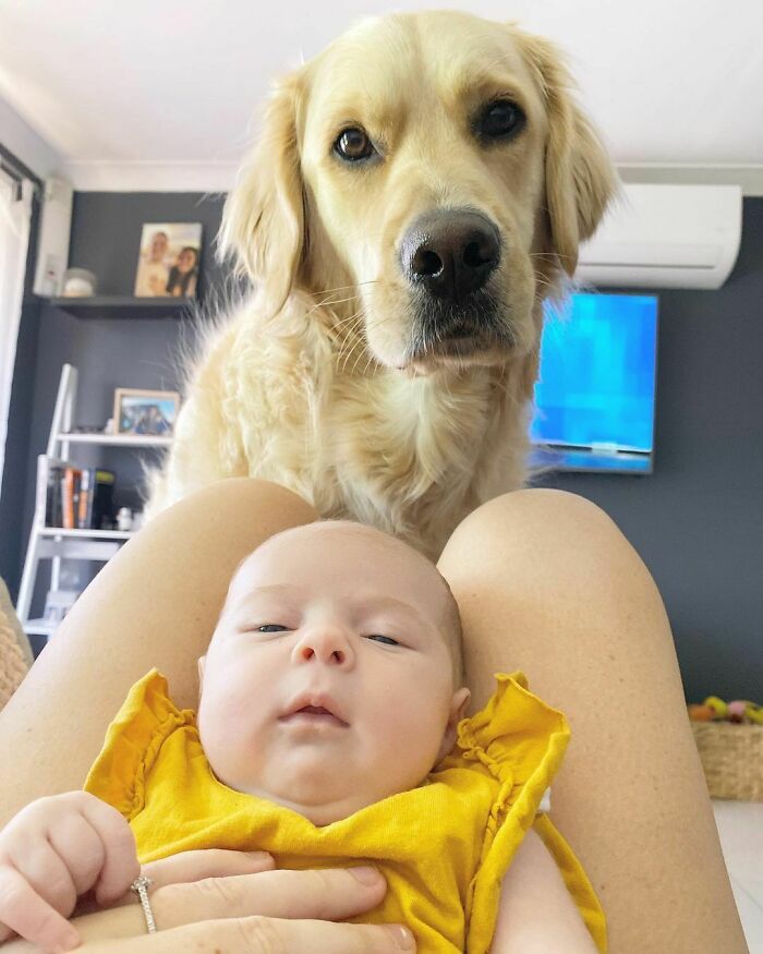 Ok Ma, It’s Time To Talk About The Lack Of Snacks In This House. Macy Agrees That I Need More. Thnx