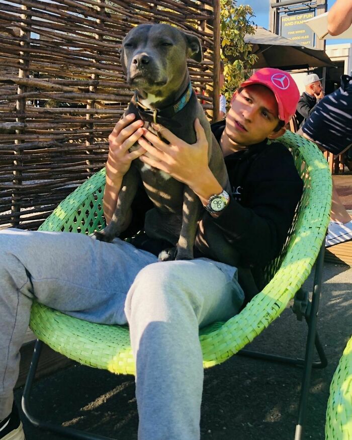 Celebrity sitting outdoors holding a large dog, showing immense love for dogs in a casual setting.
