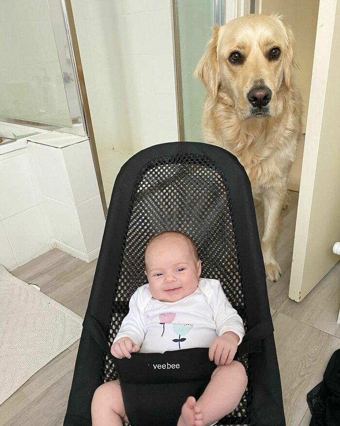 Since The Skin Baby Has Arrived We Now Take Turns In Watching Mother In The Bathroom Just In Case One Day She Falls Into That Small Pool