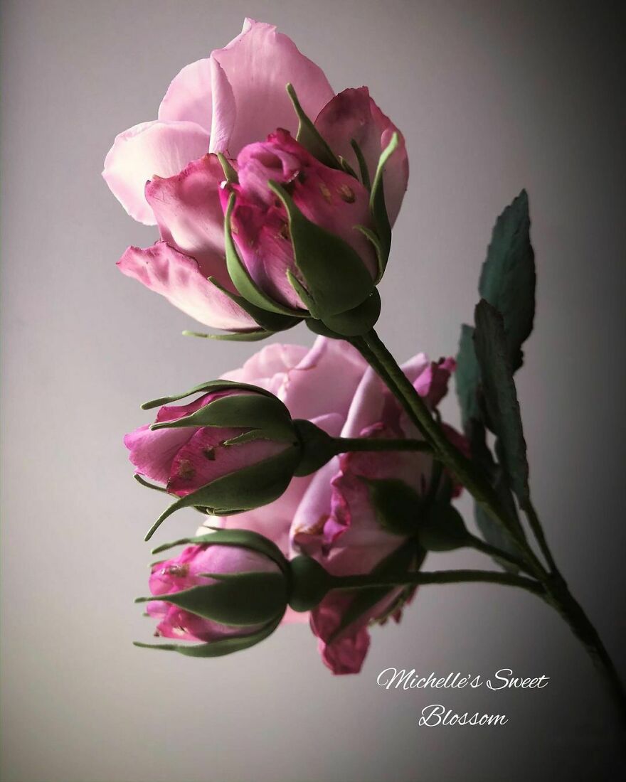 Artist Makes Amazing Realistic Sugar Flowers That Are Hard To Believe Are Not Real