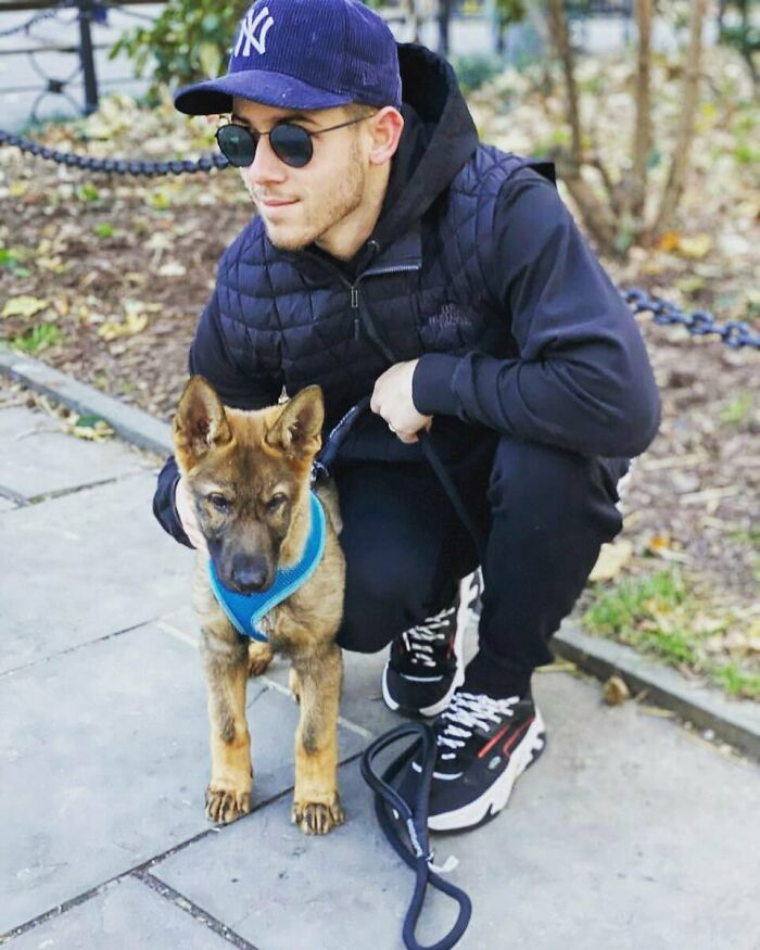 Celebrity wearing sunglasses and a cap crouching next to a dog outdoors showing love for dogs.