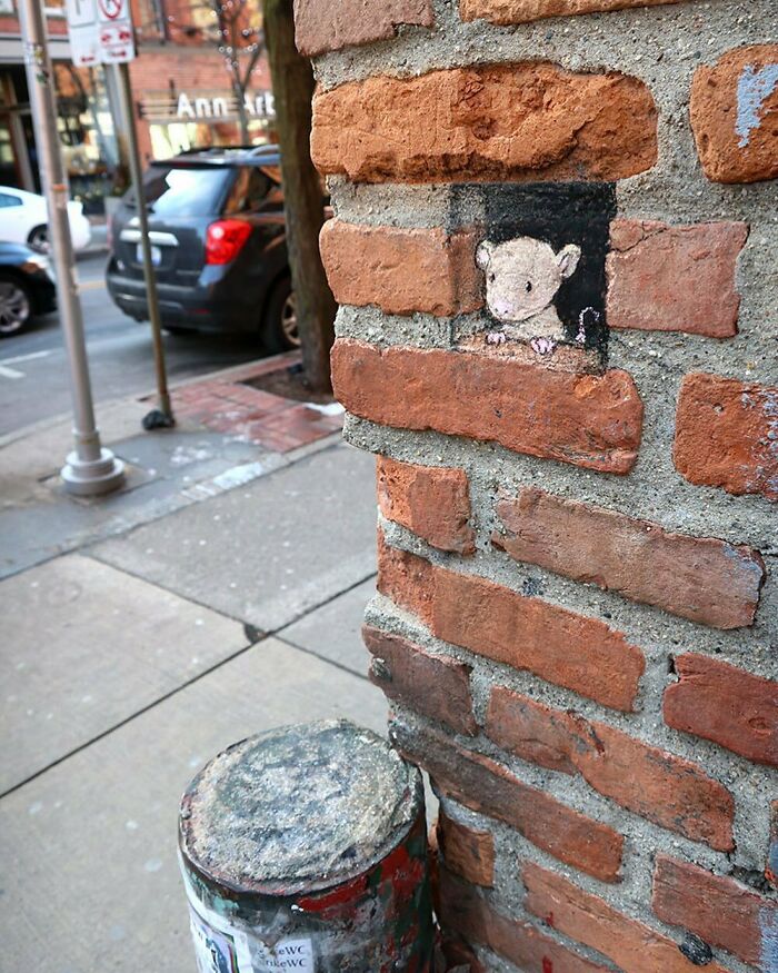 Artist Manages To Extract Life From The Streets And Walls In An Improvised And Joyful Way (New Pics)