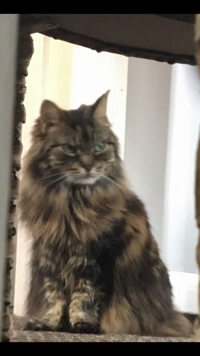 I’m Sure She’s Happy On The Inside!