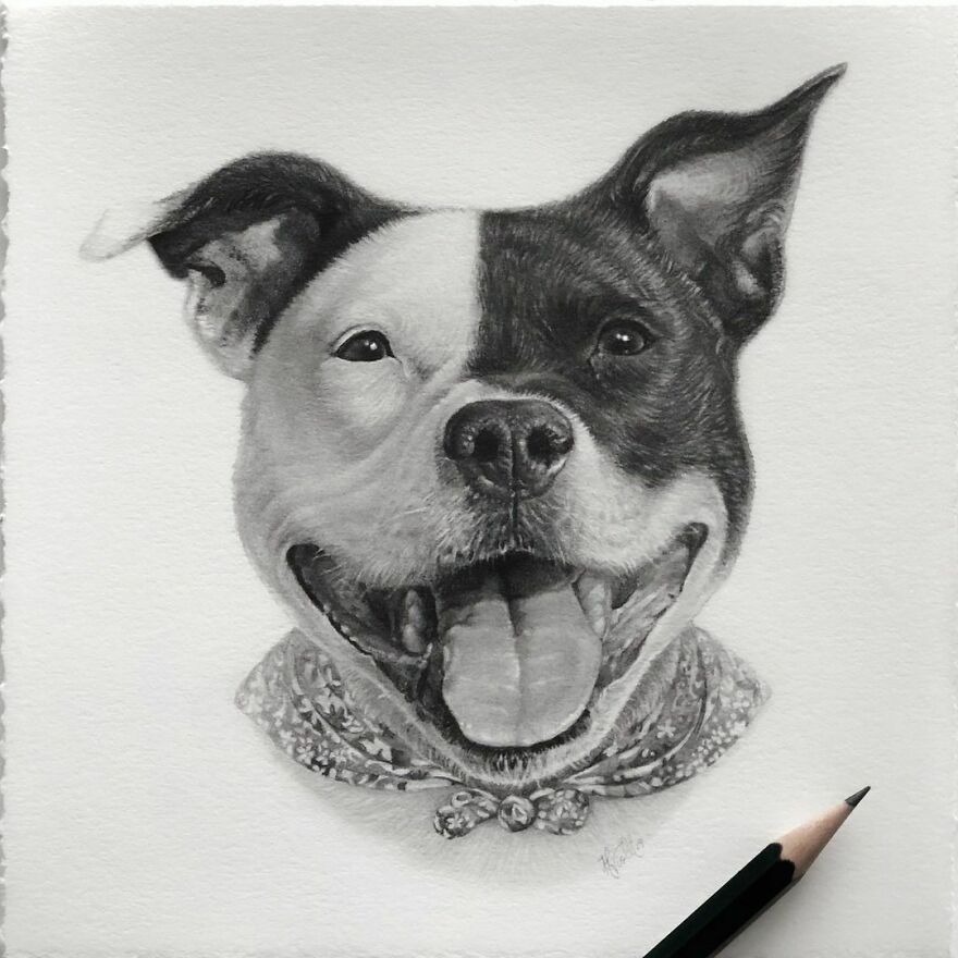This Artist Makes Realistic Portraits Of Animals That Will Leave You Jaw-Dropping