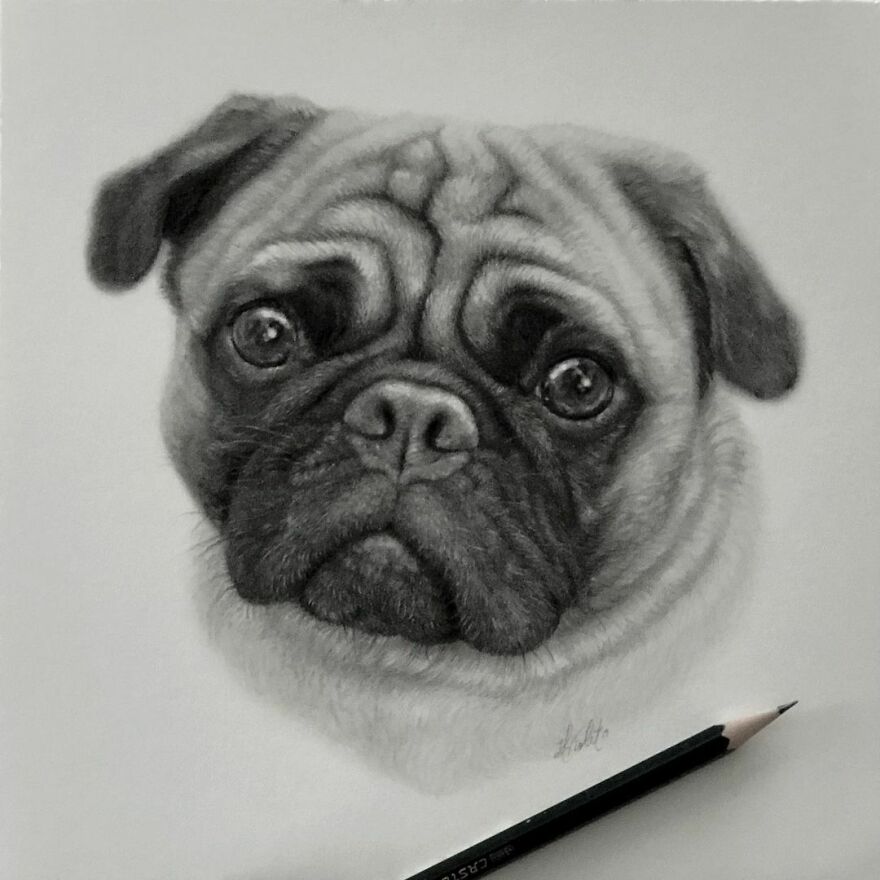 This Artist Makes Realistic Portraits Of Animals That Will Leave You Jaw-Dropping