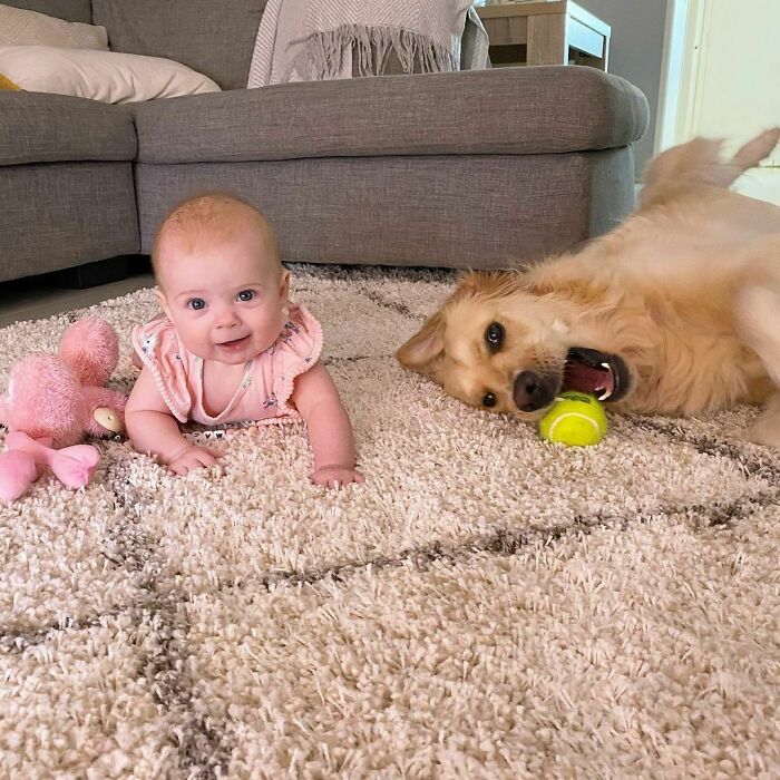 That’s Right Macy, Let’s Get This Rug Worn In. I’m Sure Mum Won’t Get Angry If You Vomit On It Again