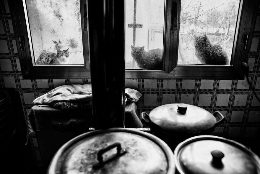 Lunchtime At The Shelter