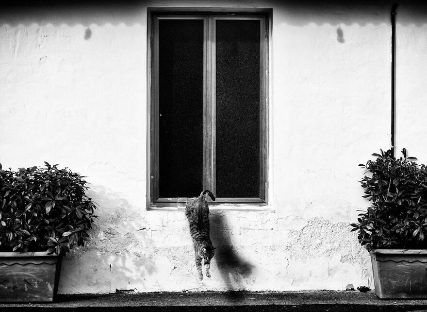 Just Passing By At The Right Moment