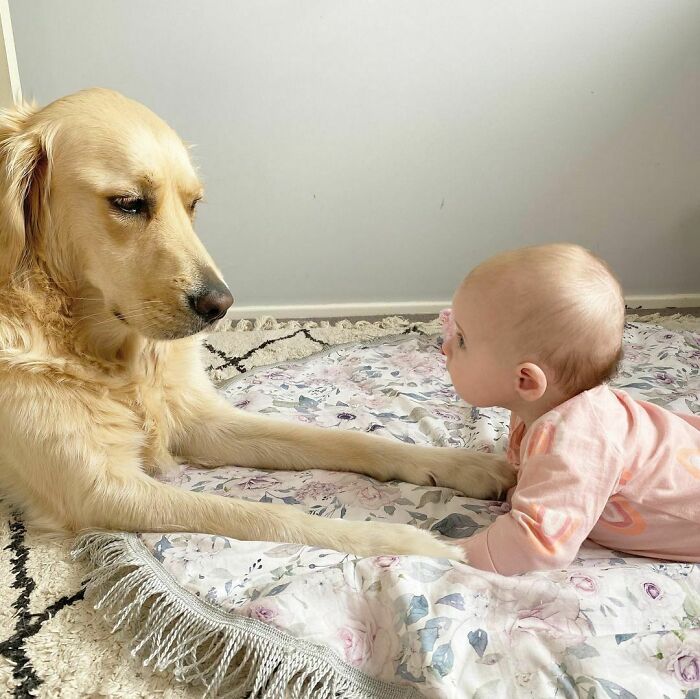 Wait, What Is That Smell? Oh My God, Mum Go Hose Her Off Outside