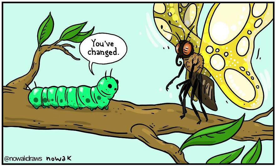 Funny-Silly-Comics-Nowakdraws