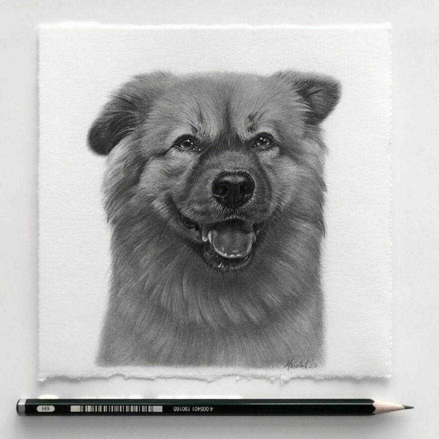 This Artist Makes Realistic Portraits Of Animals That Will Leave You Jaw-Dropping