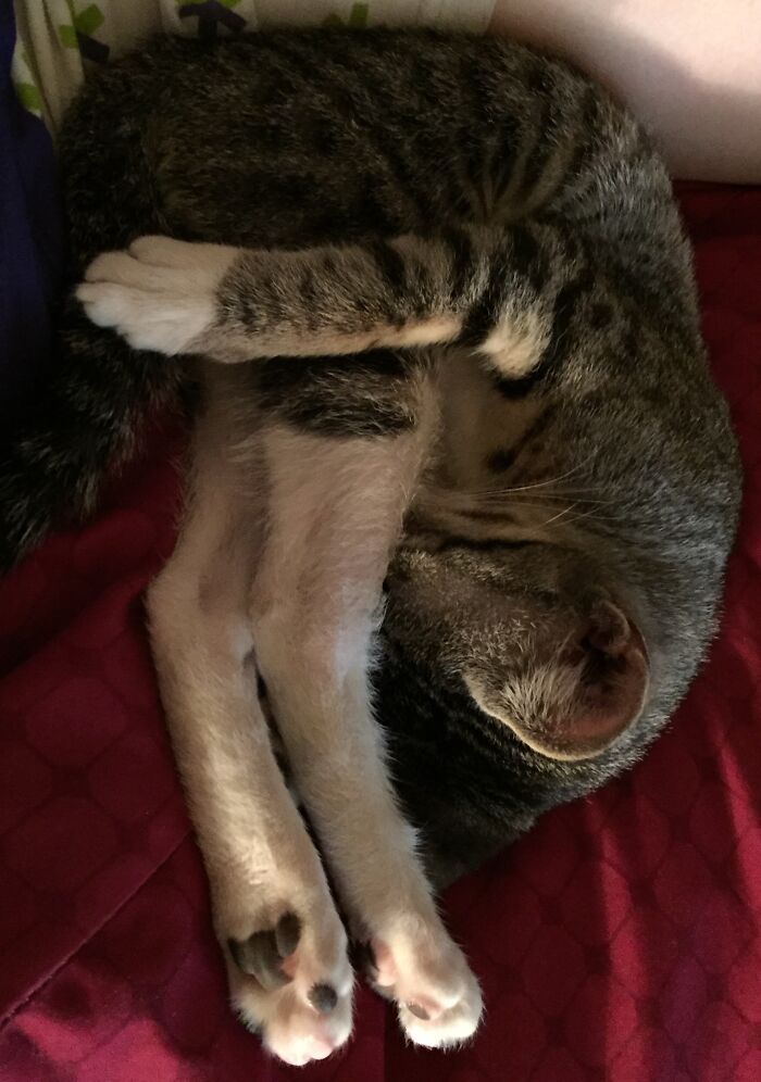 How Can This Be Comfortable?