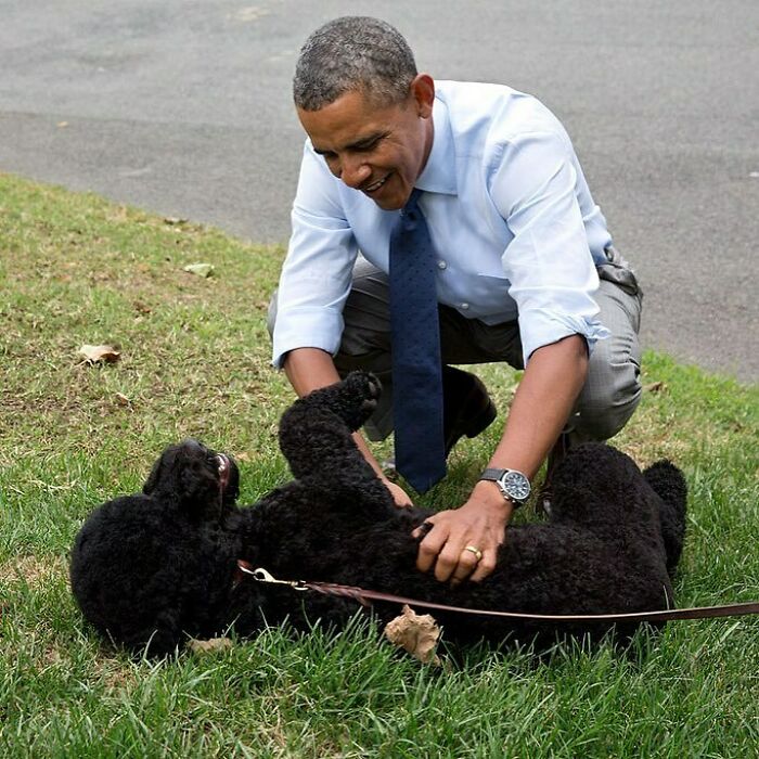 Man in a shirt and tie playing with black poodle on grass, showing celebrity love for dogs in a joyful moment.