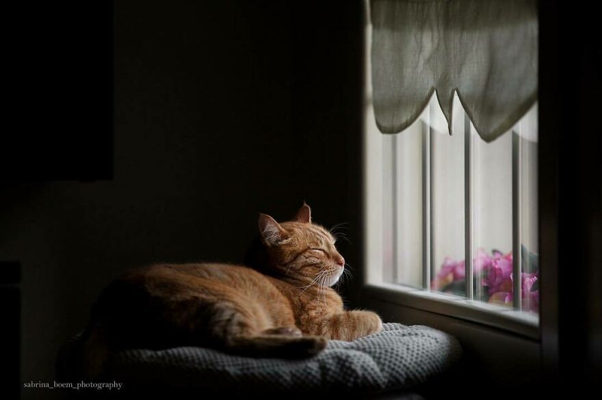 Ricky And Those Hazy Lazy Summer Afternoons