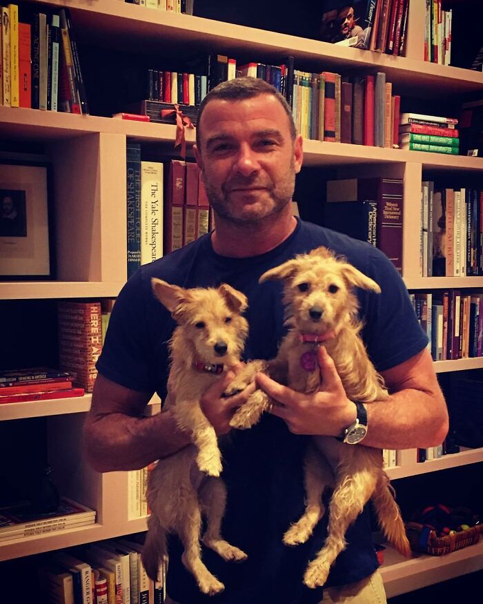Liev Schreiber