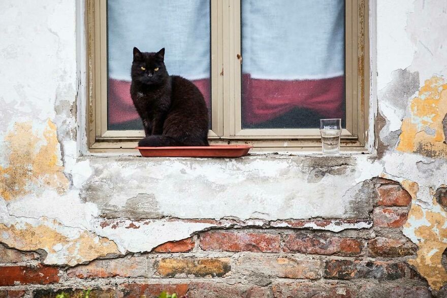 At The Colony Near The Local Shelter