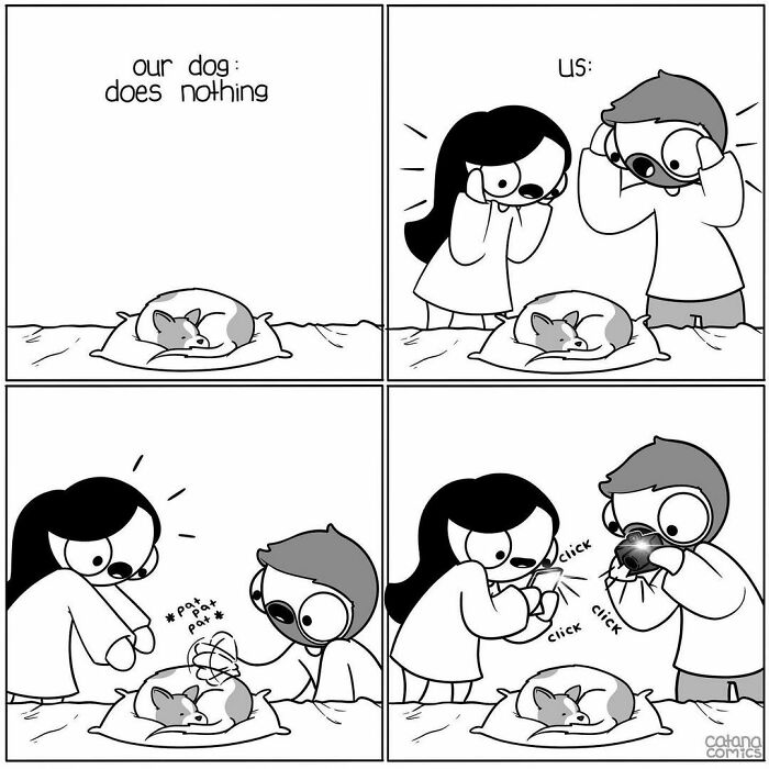 Proud Parents 🥰 #catanacomics